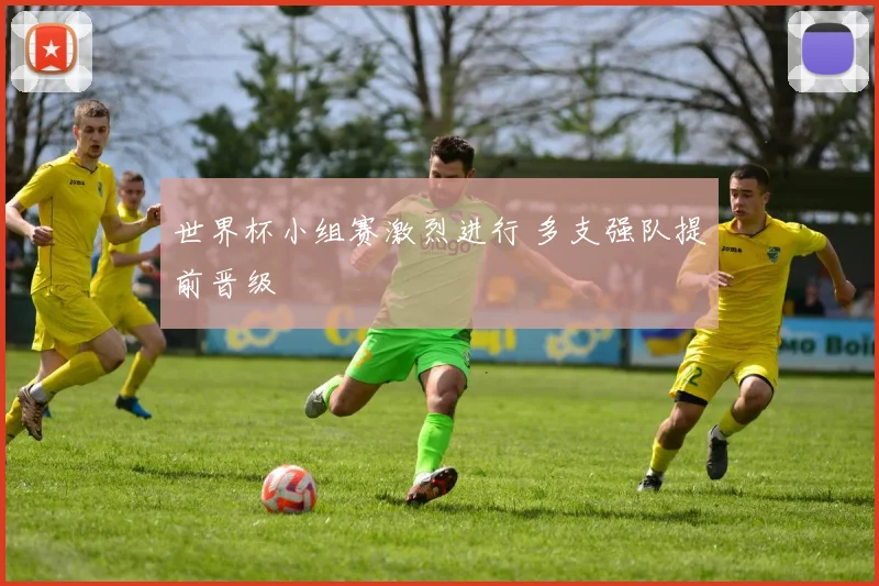 世界杯小组赛激烈进行 多支强队提前晋级