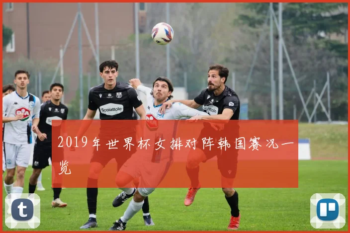 2019年世界杯女排对阵韩国赛况一览